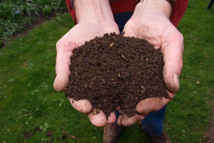 Komposti voi sopia taloyhtiöönkin.