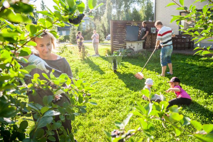 Pihatalkoissa on helppo tutustua naapureihin. Hyvin järjestetyt talkoot vahvistavat taloyhtiön asukkaiden yhteishenkeä.